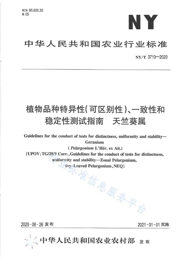 植物品种特异性（可区别性）、一致性和稳定性测试指南天竺葵属 (NY/T 3710-2020)