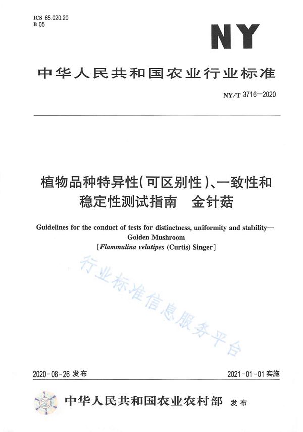 植物品种特异性（可区别性）、一致性和稳定性测试指南金针菇 (NY/T 3716-2020)