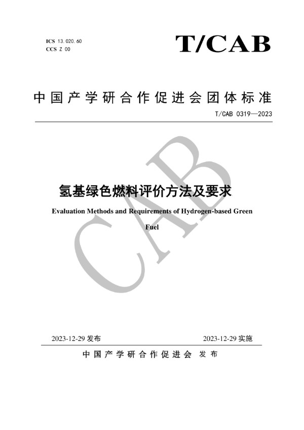 氢基绿色燃料评价方法及要求 (T/CAB 0319-2023)