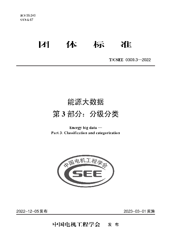 能源大数据 第 3 部分：分级分类 (T/CSEE 0309.3-2022)
