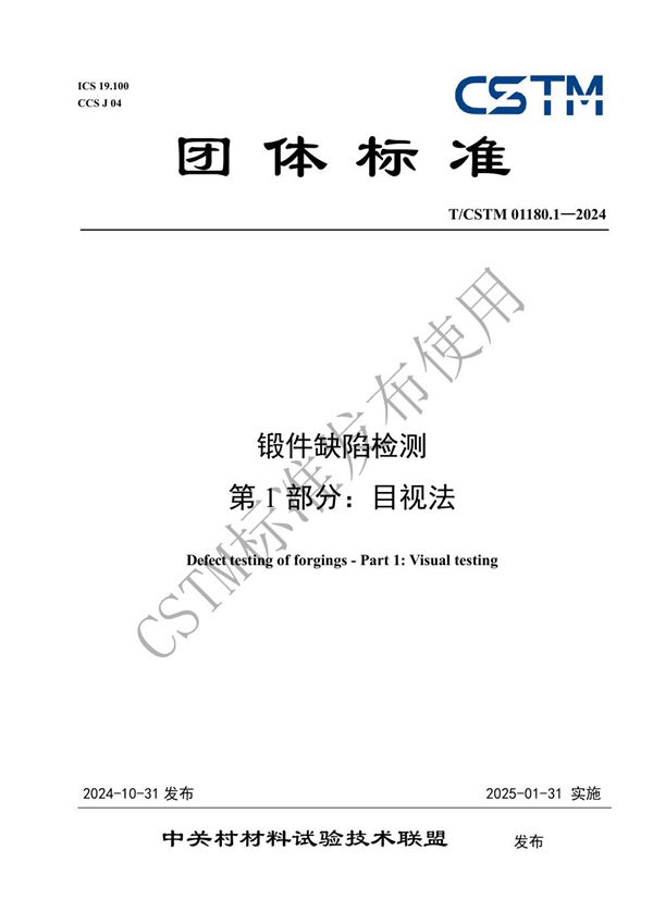 锻件缺陷检测 第1部分:目视法 (T/CSTM 01180.1-2024)
