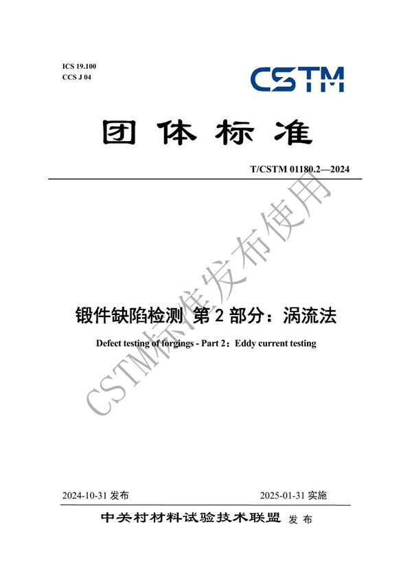 锻件缺陷检测 第2部分:涡流法 (T/CSTM 01180.2-2024)