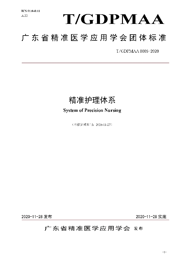 精准护理体系 (T/GDPMAA 0005-2020)