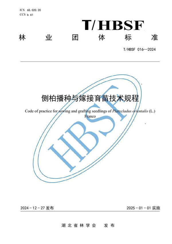 侧柏播种与嫁接育苗技术规程 (T/HBSF 016-2024)