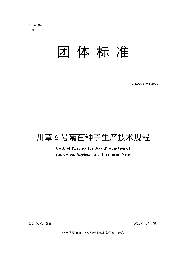 川草6号菊苣种子生产技术规程 (T/HXCY 001-2021)