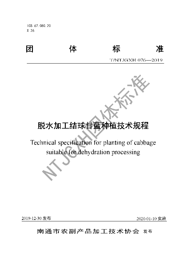 脱水加工结球甘蓝种植技术规程 (T/NTJGXH 076-2019)