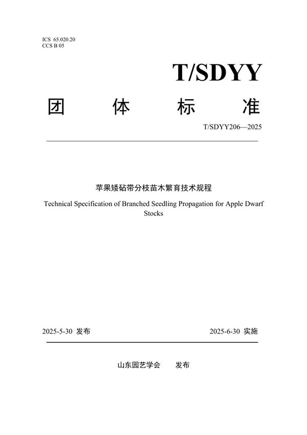 苹果矮砧带分枝苗木繁育技术规程 (T/SDYY 206-2025)