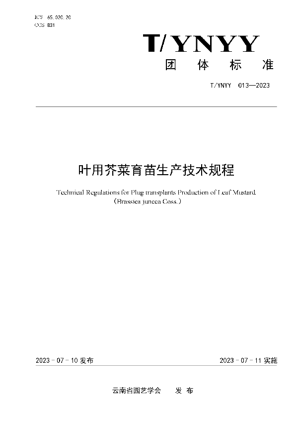 叶用芥菜育苗生产技术规程 (T/YNYY 013-2023)