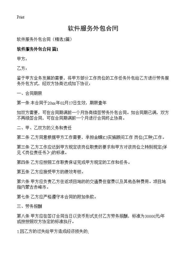 软件服务外包合同