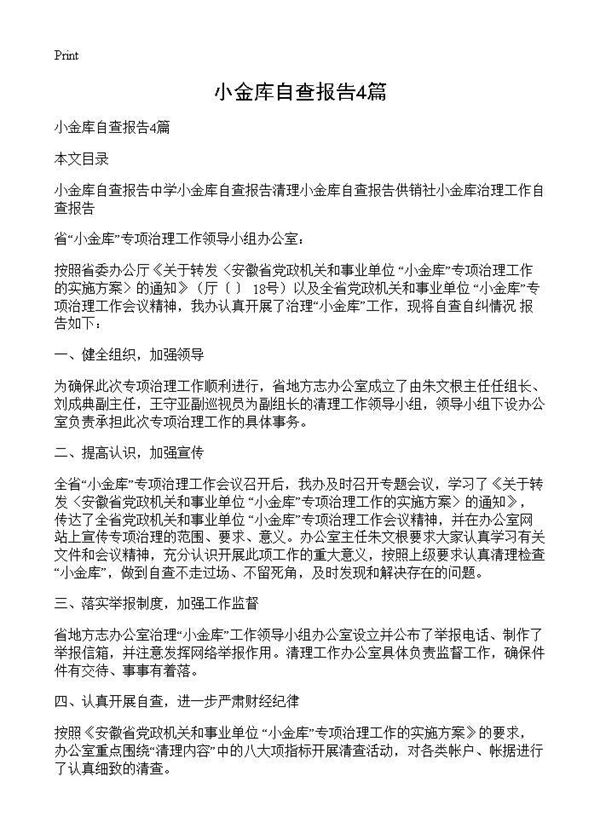 小金库自查报告