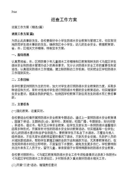 巡查工作方案