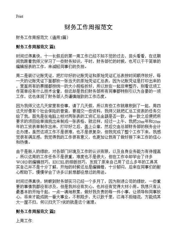 财务工作周报范文