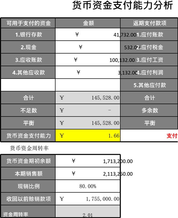 货币资金支付能力分析表