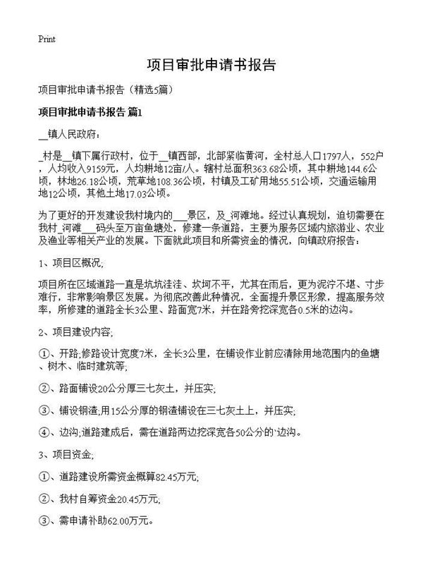 项目审批申请书报告