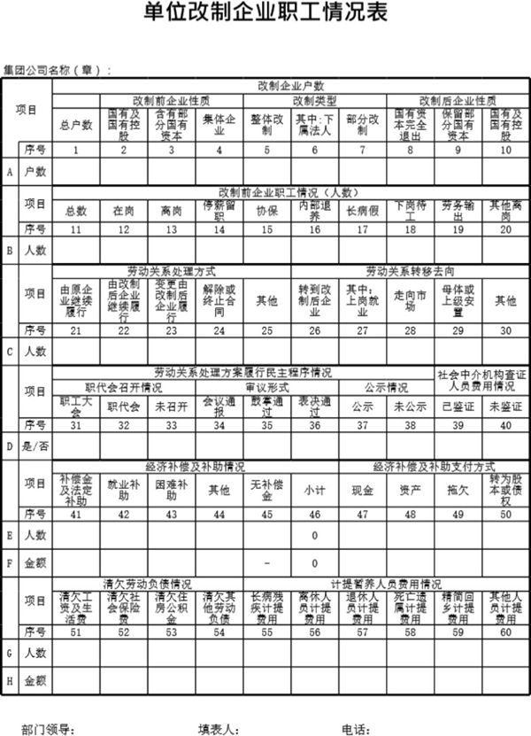 单位改制企业职工情况表模板