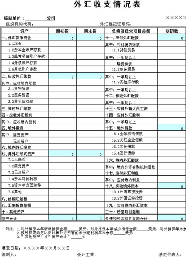 外汇收支情况表模板