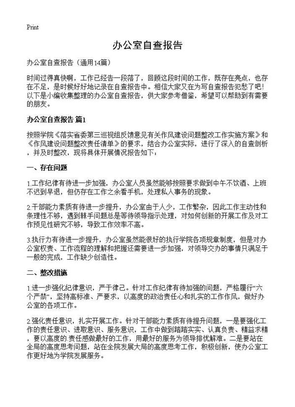 办公室自查报告
