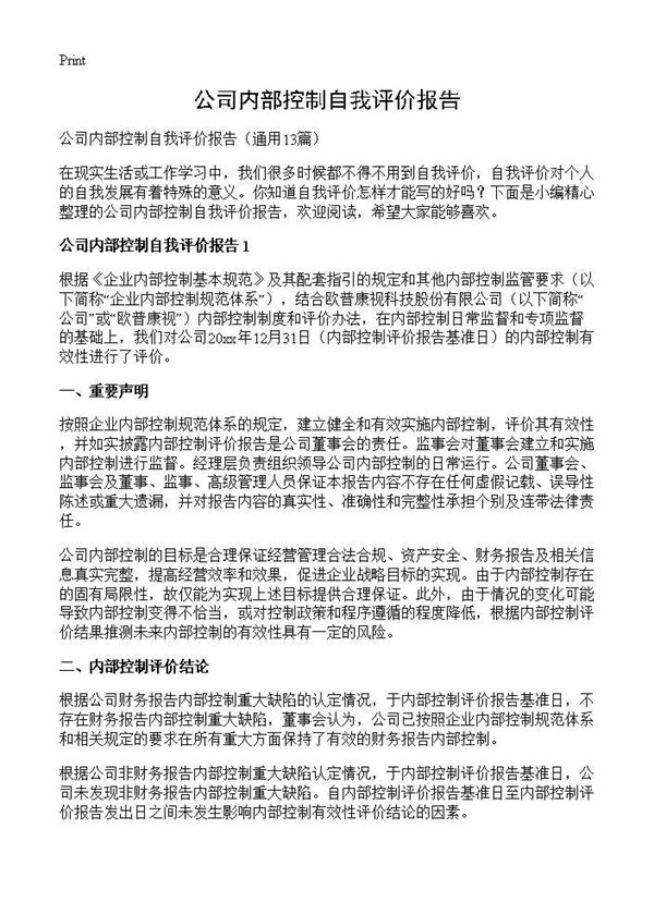 公司内部控制自我评价报告