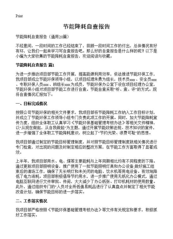 节能降耗自查报告