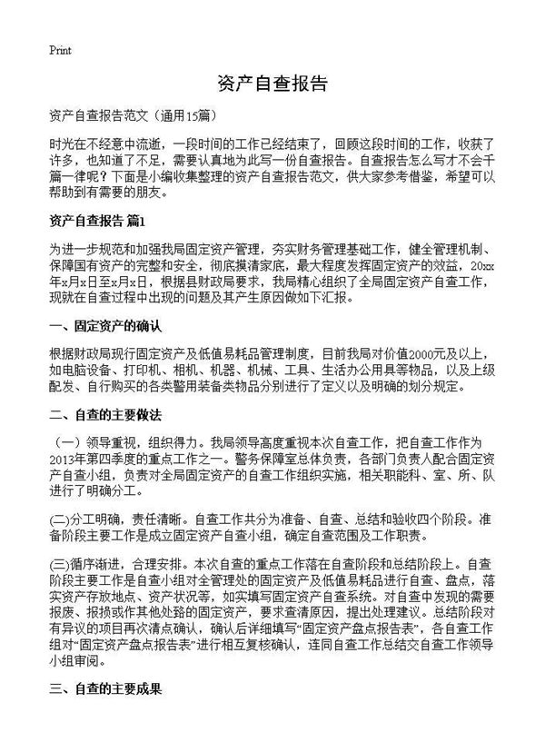 资产自查报告