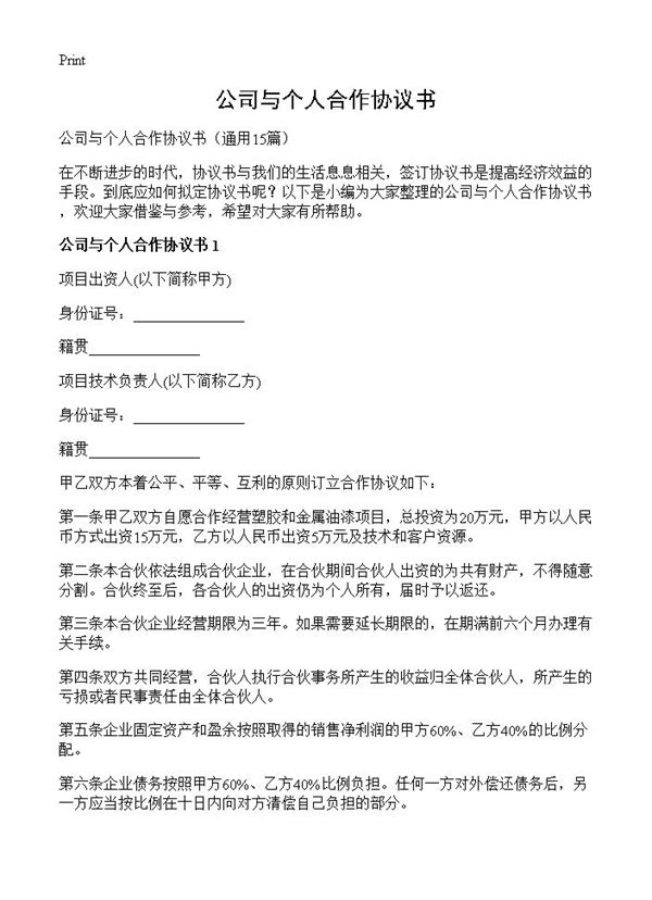 公司与个人合作协议书