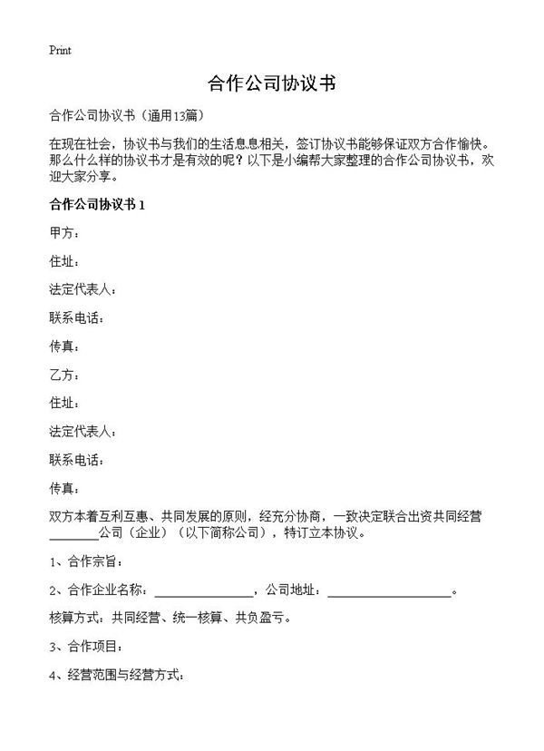 合作公司协议书