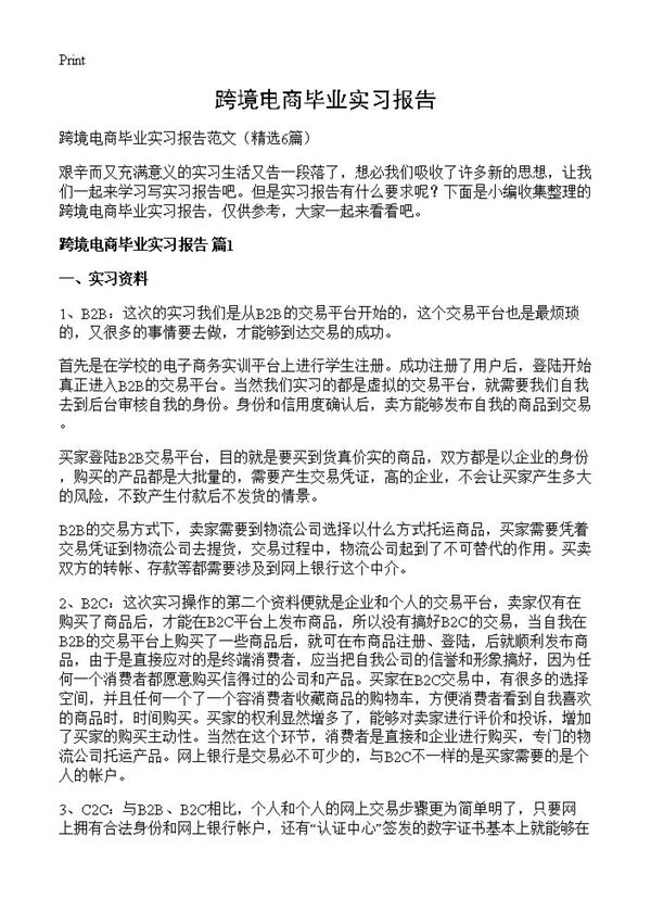 跨境电商毕业实习报告