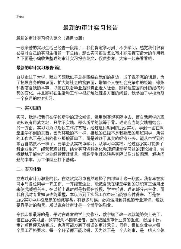 最新的审计实习报告