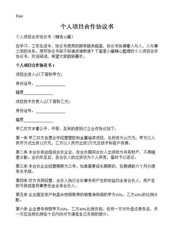 个人项目合作协议书