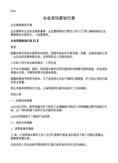企业营销策划方案