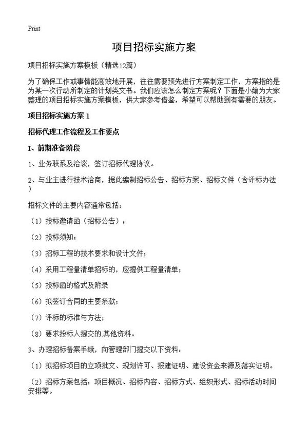 项目招标实施方案