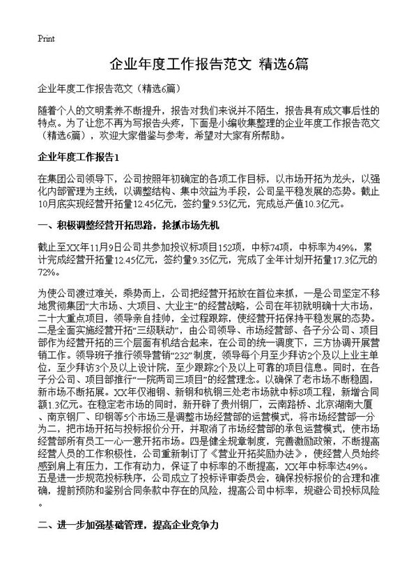 企业年度工作报告范文