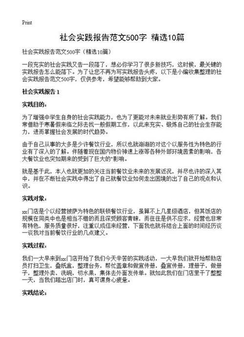 社会实践报告范文500字