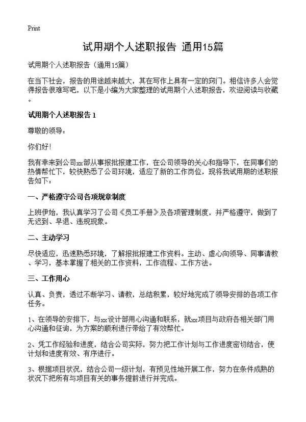 试用期个人述职报告