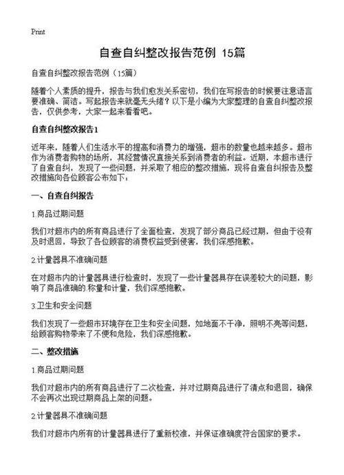 自查自纠整改报告范例