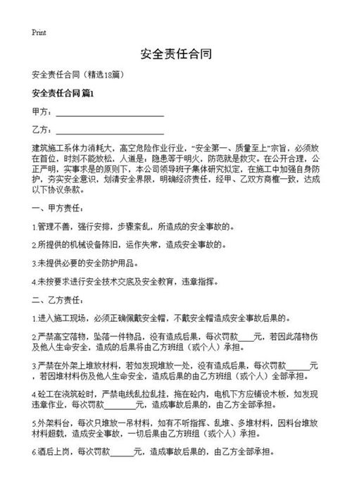 安全责任合同
