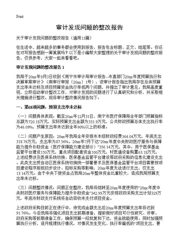 审计发现问题的整改报告