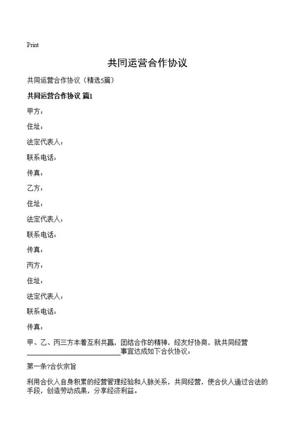 共同运营合作协议