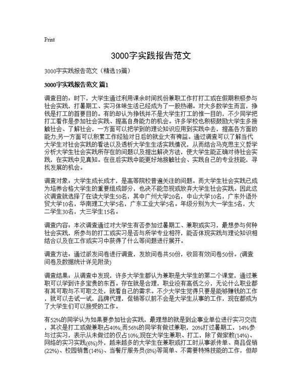 3000字实践报告范文