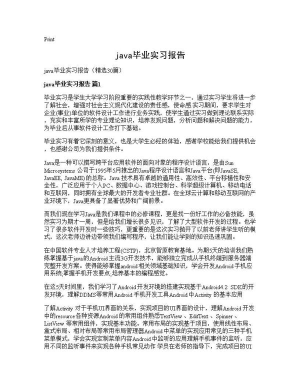 java毕业实习报告
