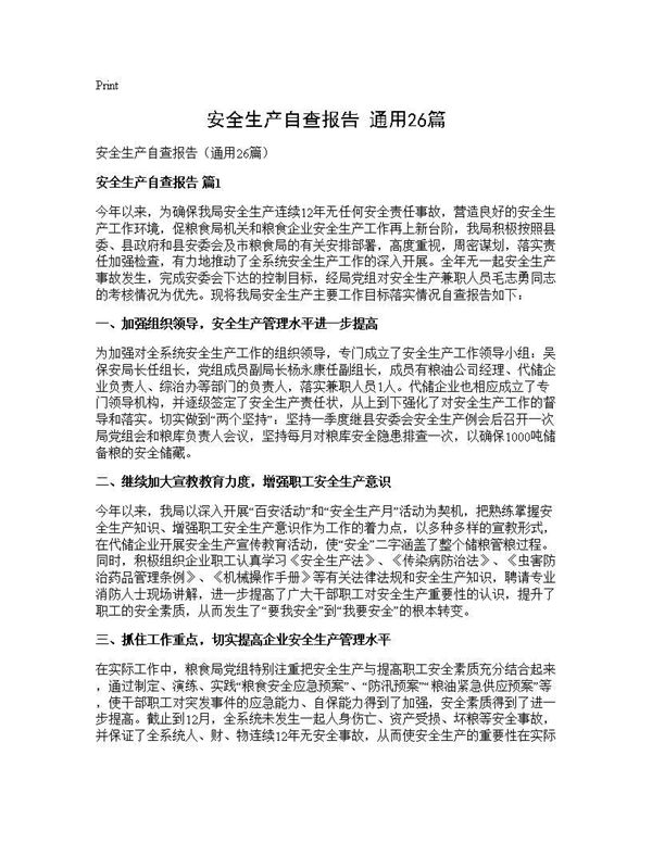 安全生产自查报告(通用)