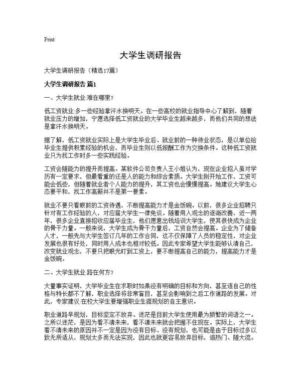 大学生调研报告