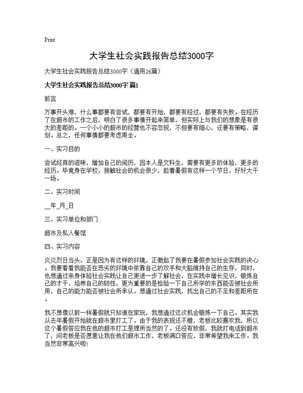 大学生社会实践报告总结3000字