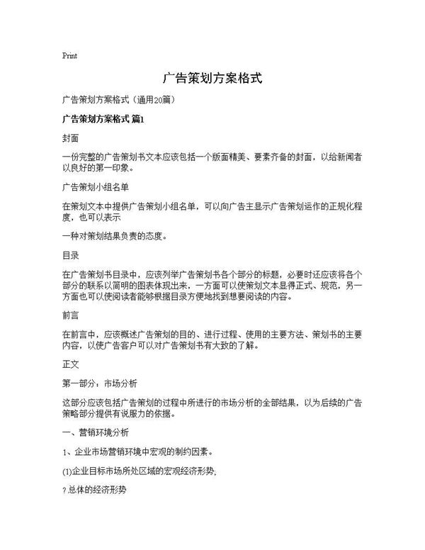 广告策划方案格式