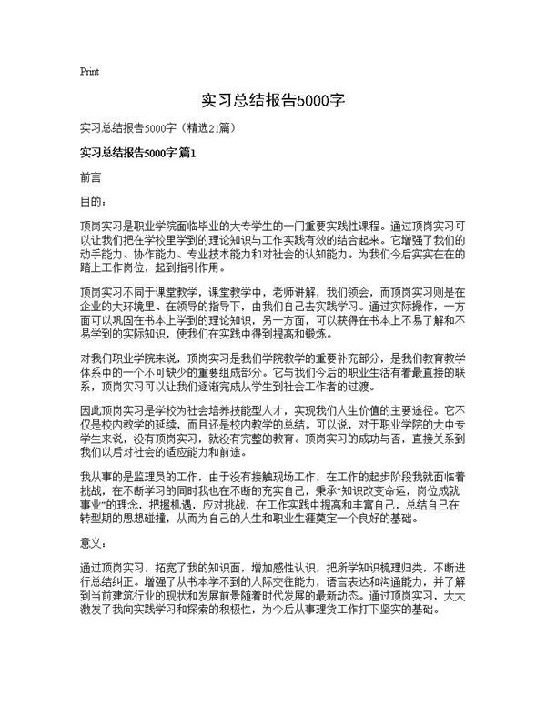 实习总结报告5000字