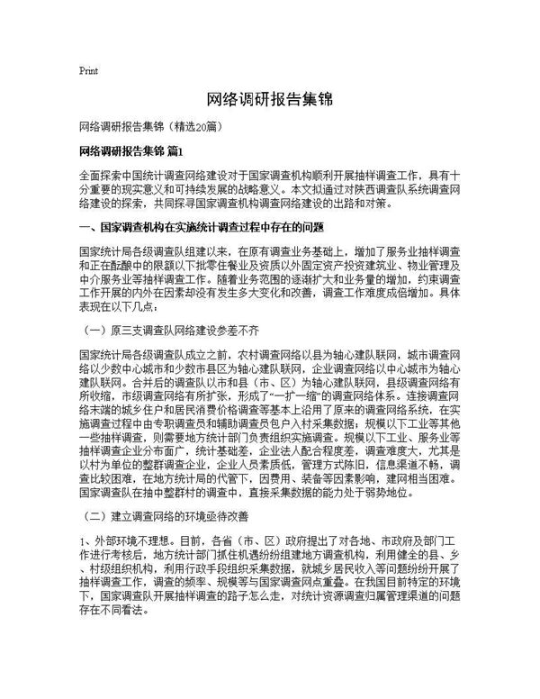 网络调研报告集锦