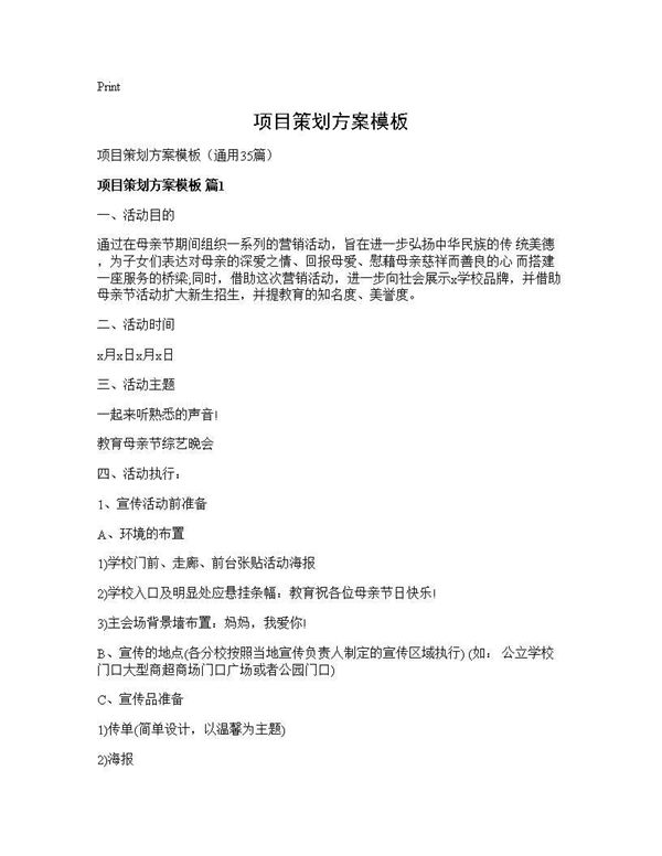 项目策划方案模板