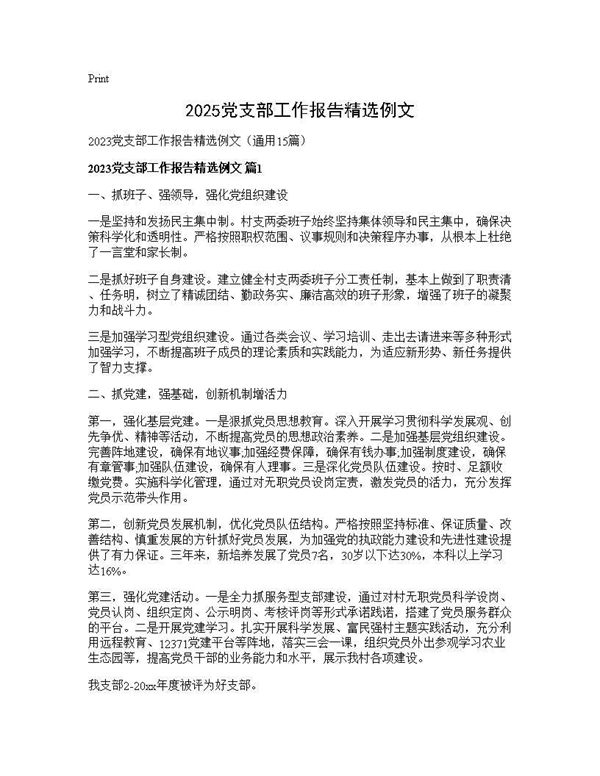 2025党支部工作报告精选例文