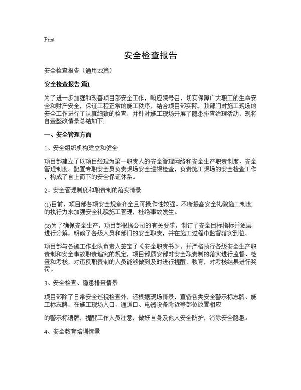 安全检查报告