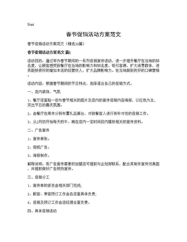 春节促销活动方案范文
